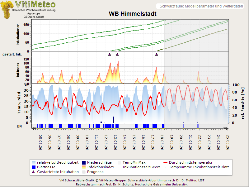Perografik