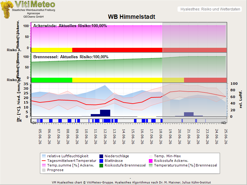 Temperaturverlauf