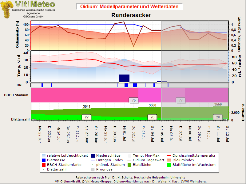 Oidiumgrafik