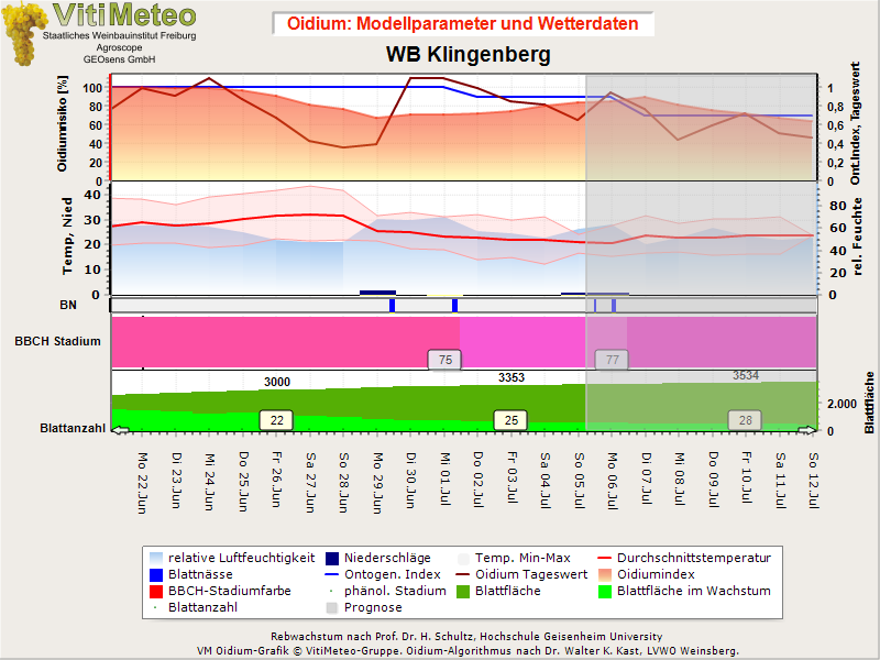Oidiumgrafik