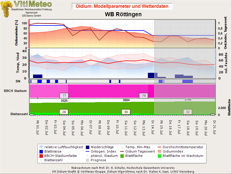 Oidiumgrafik