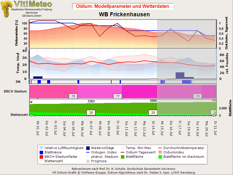 Oidiumgrafik