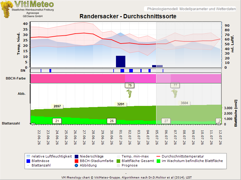 Perografik
