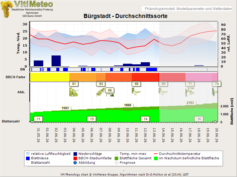 Perografik