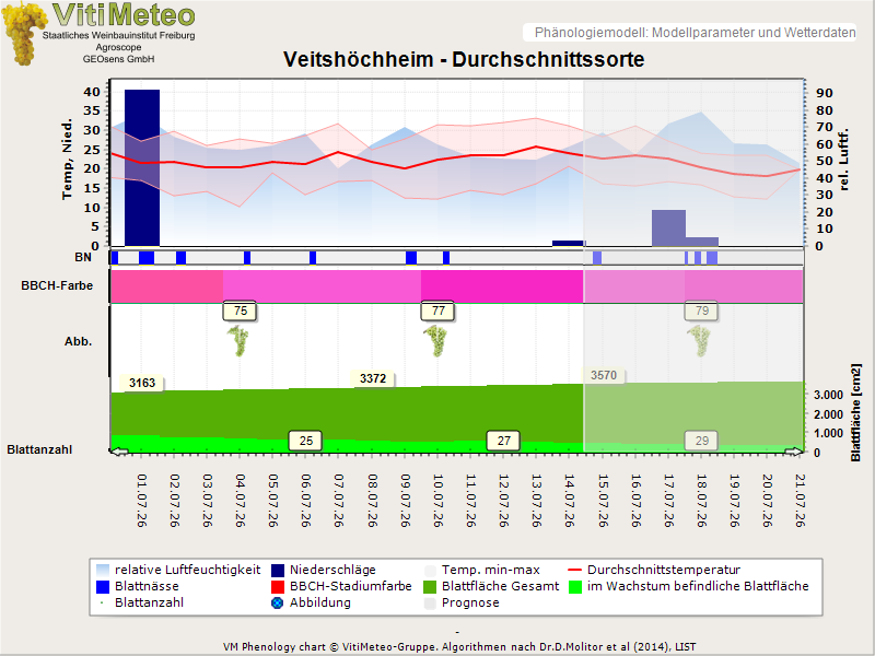 Perografik