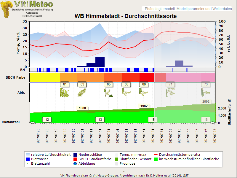 Perografik