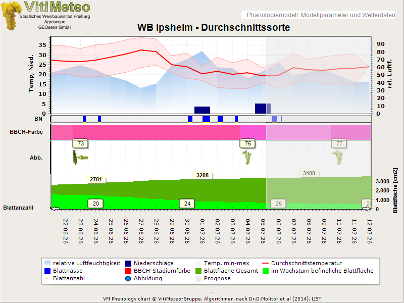 Perografik