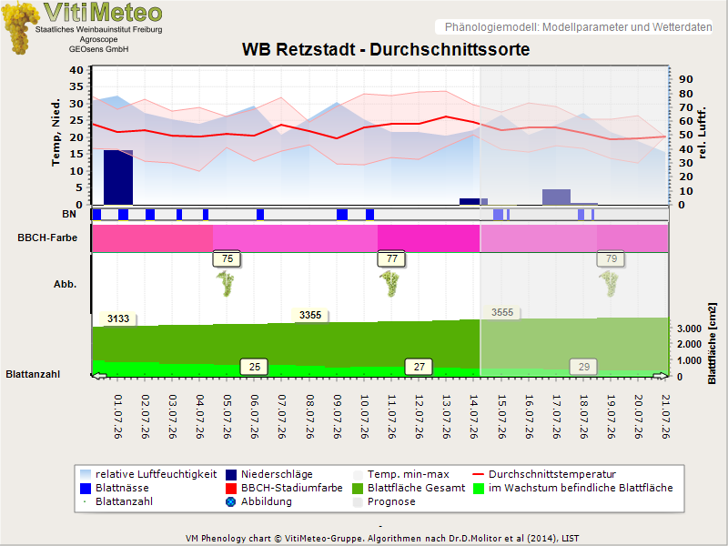Perografik