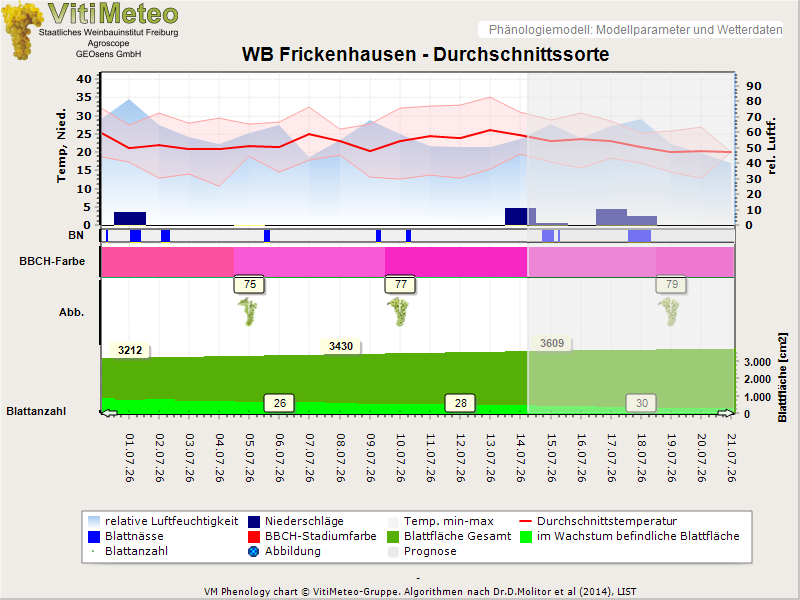 Perografik
